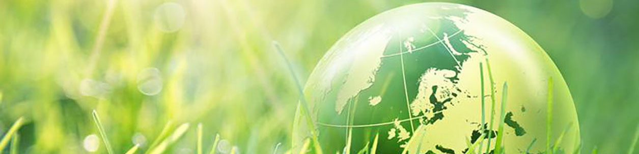 green environmental friendly factory yohopharm