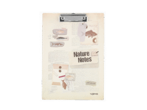 Creative Series  LMZBJA401-33334C