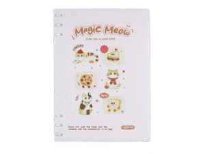 Loose-leaf notebook